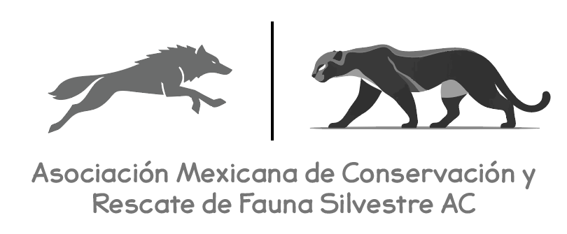 Logo Fauna