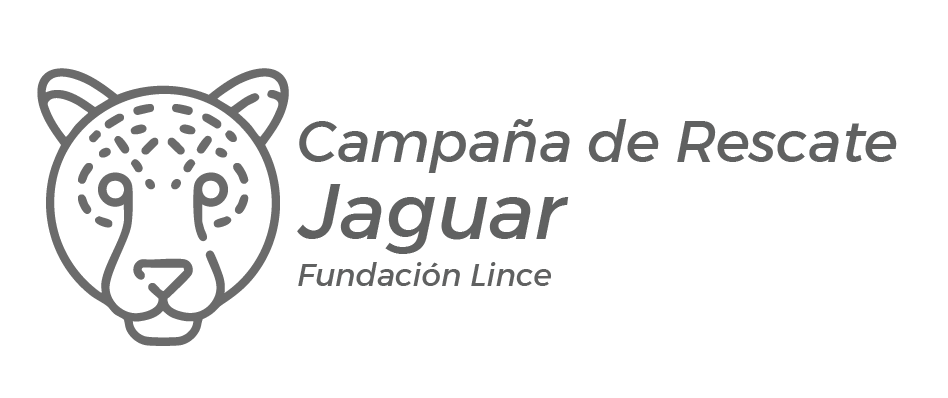 Logo Jaguar